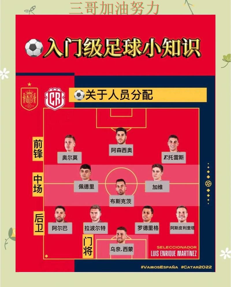 世界杯买球网站如何操作指南：数据分析全流程解析（世界杯官方信息）